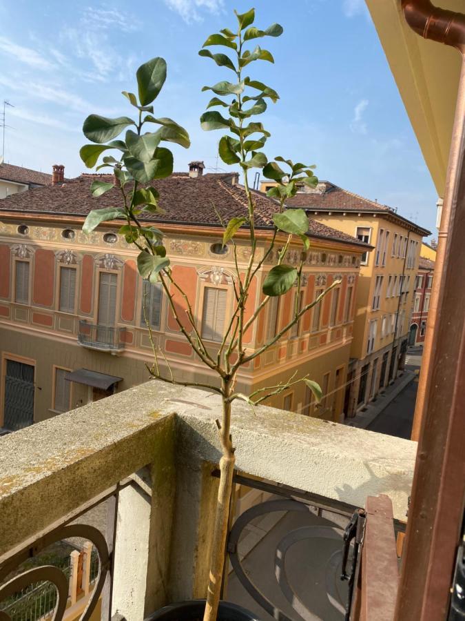 Loft Manzoni 37 Apartment Cremona Luaran gambar